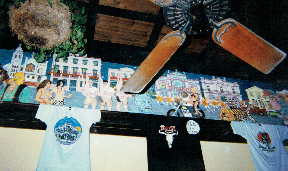 The Bull Murals
