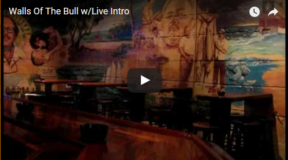 The Bull You Tube