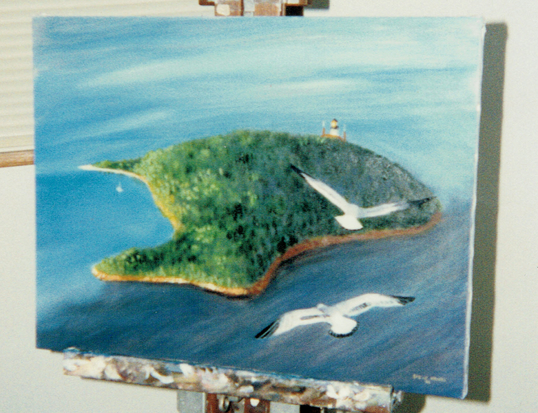 Seagull view of Raspberry Island