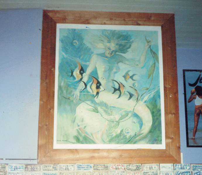 Mermaid - wow