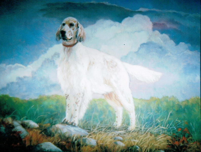 dog