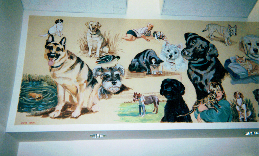 Sullivan Veterinary Clinic